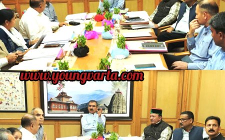 मुख्यमंत्री ने बांस प्रसंस्करण संयंत्र स्थापित करने की संभावनाएं तलाशने के निर्देश दिए