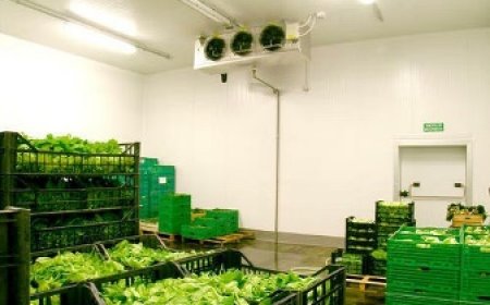 प्रदेश के किसान-बागवान 500 कार्टन की भंडारण क्षमता के खोल सकेंगे छोटे सोलर पावर कोल्ड स्टोर  