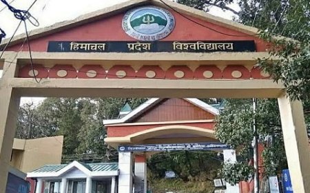 प्रदेश विश्वविद्यालय की वेबसाइट पर साइबर अटैक का मामला सामने आने के बाद मचा हड़कंप