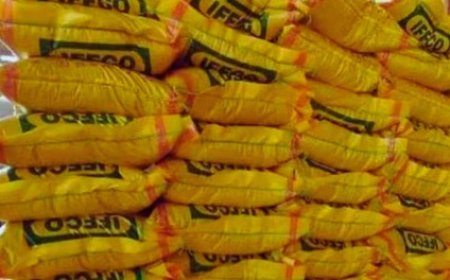 प्रदेश के किसानों और बागवानों को नहीं मिल पा रही यूरिया खाद, फसलों के खराब होने के डर से किसान चिंतित