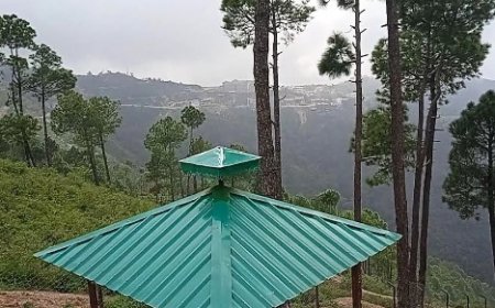 किंकरी देवी के नाम पर संगड़ाह में प्रस्तावित पार्क के अधूरे निर्माण कार्य को जल्द पूरा करने की मांग 