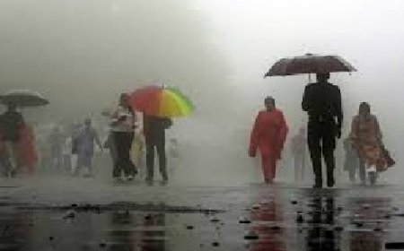 प्रदेश के कई जिलों में सामान्य से अधिक बारिश दर्ज, 4 व 5 अगस्त को भारी बारिश का अलर्ट जारी