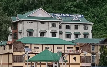 एसपीयू मंडी ने बीए अंतिम वर्ष का परीक्षा परिणाम किया घोषित, 85.67 फीसदी विद्यार्थियों ने हासिल की सफलता