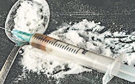 प्रदेश में मादक पदार्थों के खिलाफ अभियान के तहत पिछले ढाई वर्षों में एनडीपीएस के 5,004 मामले दर्ज