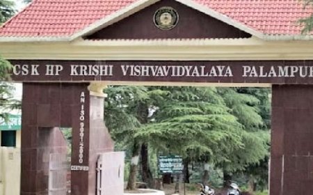 कृषि विश्वविद्यालय पालमपुर में लंबे समय से खाली चल रहे शिक्षक और गैर-शिक्षक पदों को भरने की प्रक्रिया शुरू 