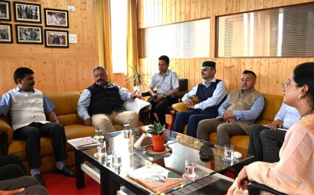 रोहित ठाकुर ने लीफ स्पॉट रोग से बचाव के लिए नौणी विश्वविद्यालय को दिए निर्देश