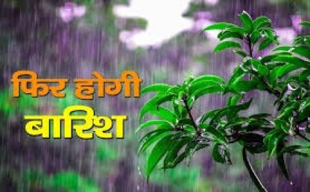 हिमाचल में फिर करवट लेगा मौसन , विभाग की चेतावनी, प्रदेश में दो दिन दिन भारी बारिश का  ऑरेंज अलर्ट 