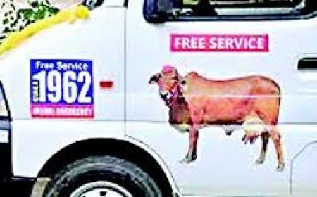 मोबाइल पशु चिकित्सा एम्बुलेंस बन रही पशुपालकों की मददगार , घर द्वार पर हो रहा पशुओं का  निशुल्क उपचार