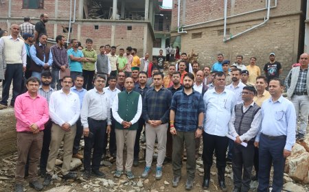 केंद्रीय दल ने थुनाग व जंजैहली में आपदा प्रभावित क्षेत्रों में नुकसान का लिया जायजा
