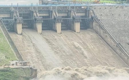 पौंग बांध का जलस्तर वर्तमान में 1365.26 फुट तक पहुंचा,अब कभी भी छोड़ा जा सकता डैम का पानी