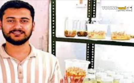 नौणी विवि के एग्री बिजनेस मैनेजमेंट में एमबीए के छात्र ने चावल के दानों पर उगा दी कीड़ा जड़ी , 80 हजार रुपये प्रति किलो है कीमत