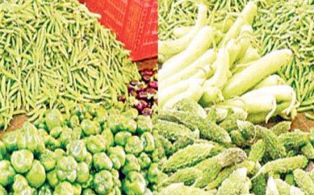 सब्जियों की पैदावार करने वाले प्रदेश के कुछ ब्लॉक तापमान और वर्षा में बदलाव की वजह से उच्च जोखिम में 