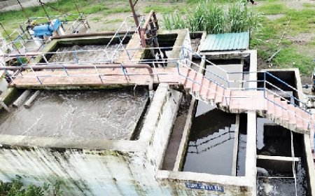 प्रदूषण मानकों पर खरा नहीं उतरा महकमे का सीवरेज ट्रीटमेंट प्लांट,जल शक्ति विभाग पर 40.90 लाख जुर्माना