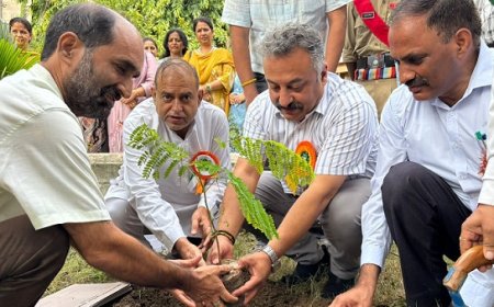 शिक्षा मंत्री रोहित ठाकुर ने ब्वायज स्कूल परिसर में किया पौधारोपण