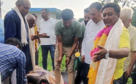 एचपी शिवा परियोजना के तहत सरकाघाट के बही क्लस्टर में जगत सिंह नेगी की मौजूदगी में अमरूद पौधरोपण शुरू अभियान  