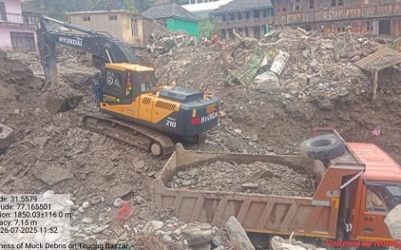 थुनाग के देजी गांव के लिए सड़क व बिजली बहाल करने का कार्य जारी : उपायुक्त