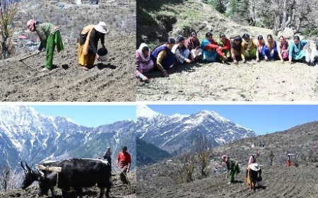 पांगी उपमंडल को राज्य का पहला प्राकृतिक खेती उप-मंडल बनाने की घोषणा से क्षेत्र में उत्साह का माहौल