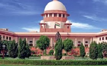 प्रदेश हाईकोर्ट केअतिक्रमित वन भूमि पर उगाए सेब के पेड़ काटने के आदेश पर सर्वोच्च न्यायालय ने लगाई रोक
