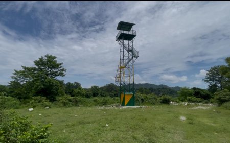 प्रोजेक्ट एलिफेंट के तहत हाथियों पर नज़र रखने के लिए उत्तराखंड और हिमाचल की सीमा पर बहराल में बनाया वॉच टावर