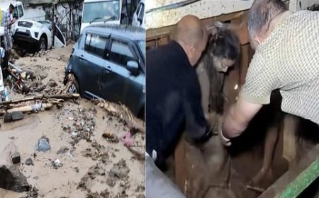 मंडी शहर में फिर बरपा कहर : जेल रोड़ में पानी के बहाव में बहने से अभी तक तीन लोगों की मौत