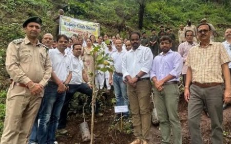 रोटरी क्लब नाहन ने 132 औषधीय पौधे रोपित कर पर्यावरण संरक्षण का दिया संदेश 