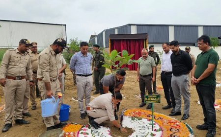 उपायुक्त ने औद्योगिक क्षेत्र पंडोगा में 600 पौधे रोपित कर पर्यावरण संरक्षण का दिया संदेश