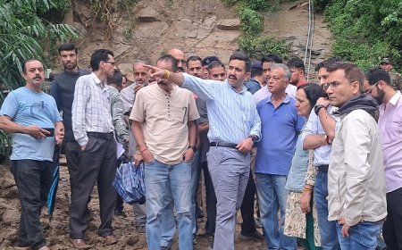 लोक निर्माण मंत्री विक्रमादित्य सिंह ने मंडी के आपदा प्रभावित क्षेत्रों का किया दौरा