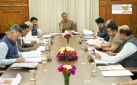 प्रदेश के दुर्गम और जनजातीय क्षेत्रों में स्वास्थ्य सेवाओं की मजबूती के लिए नियुक्त की जाएगी 290 अतिरिक्त आशा वर्कर , मंत्रिमंडल के निर्णय