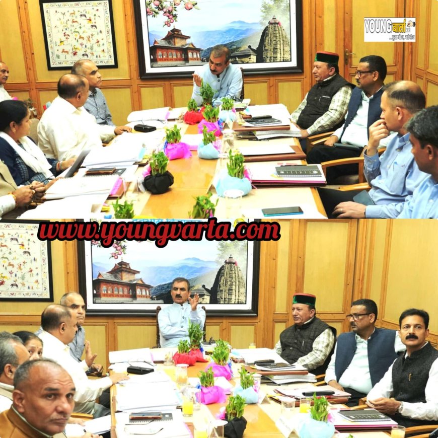 मुख्यमंत्री ने बांस प्रसंस्करण संयंत्र स्थापित करने की संभावनाएं तलाशने के निर्देश दिए