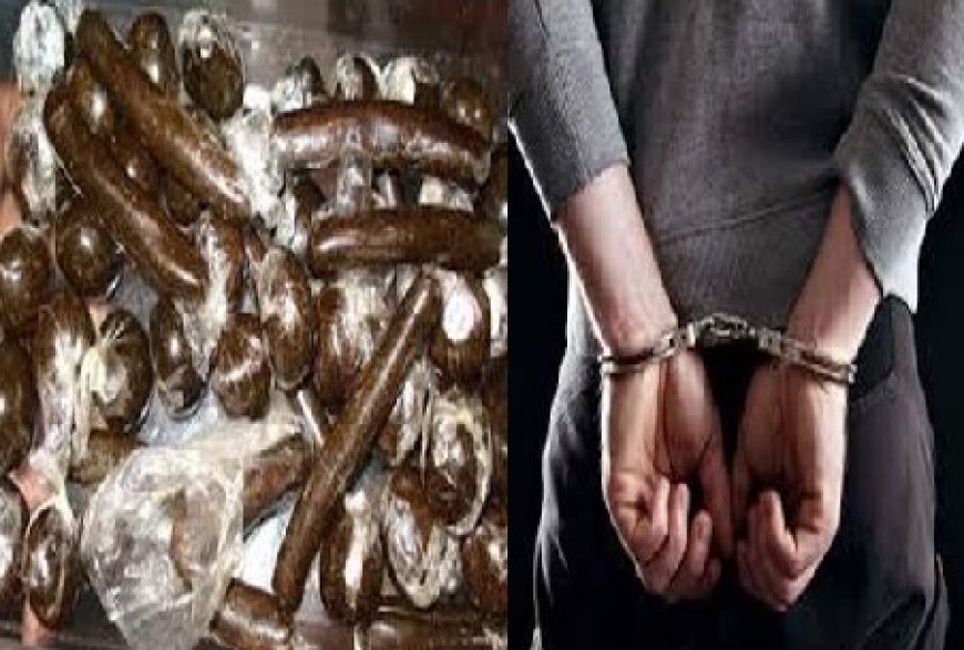 नाकाबंदी के दौरान इनोवा गाड़ी में सवार २ युवकों से 2 किलो 84 ग्राम चरस बरामद