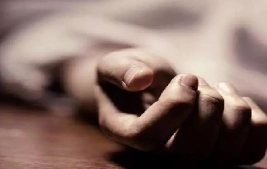 दर्दनाक : जंगल से घास लेने गई 56 वर्षीय महिला की छत से गिरकर मौत 