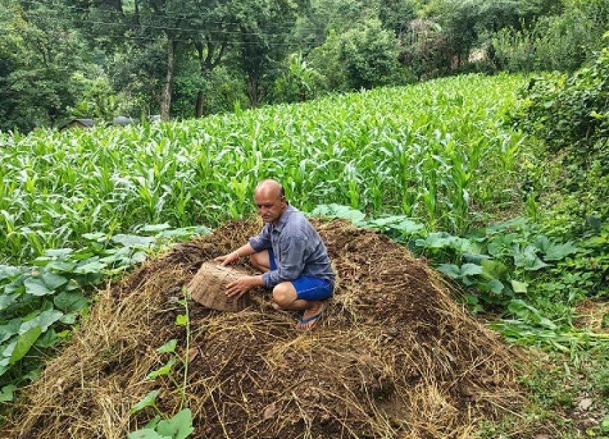 एमएसपी की गारंटी से ग्रामीण अर्थव्यवस्था को मिल रहा बल,खेती पर कम लागत से उत्पादों को मिल रहे अच्छे दाम