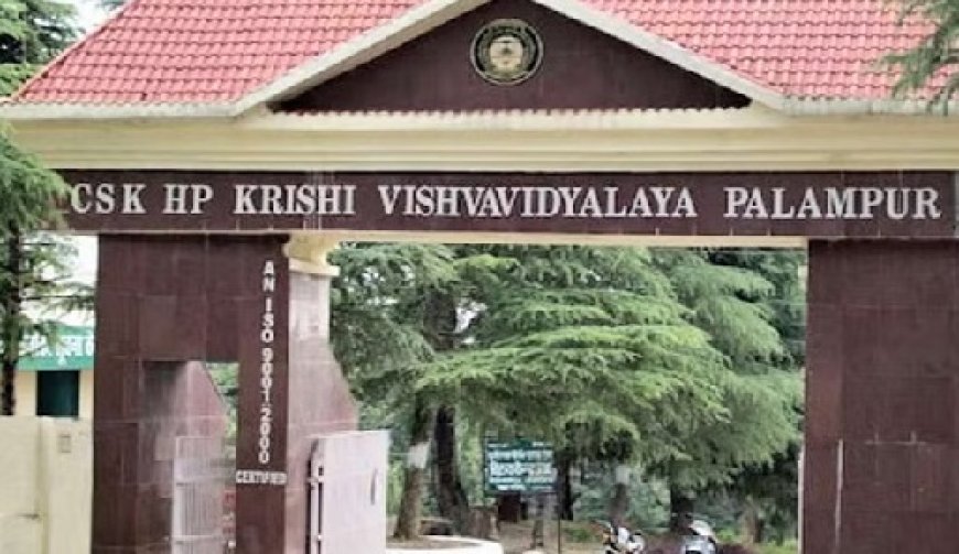 कृषि विश्वविद्यालय पालमपुर में लंबे समय से खाली चल रहे शिक्षक और गैर-शिक्षक पदों को भरने की प्रक्रिया शुरू