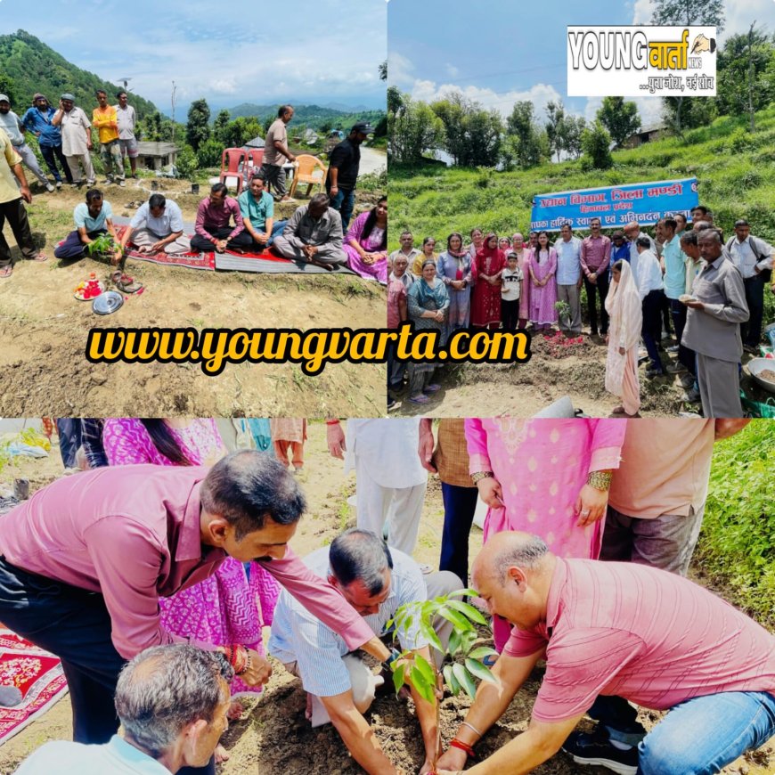 फलदार पौधों ने लेहलायेगा धनियारा क्लस्टर , एचपी शिवा परियोजना के तहत शुरू हुआ पौधरोपण अभियान