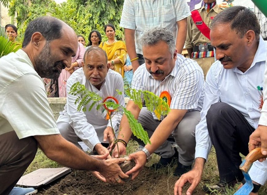 शिक्षा मंत्री रोहित ठाकुर ने ब्वायज स्कूल परिसर में किया पौधारोपण