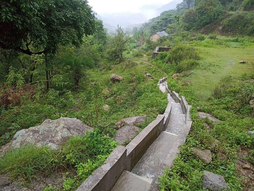 रंग लाने लगे फसल विविधीकरण को प्रोत्साहन प्रदान करने के “सुक्खू” सरकार के प्रयास  