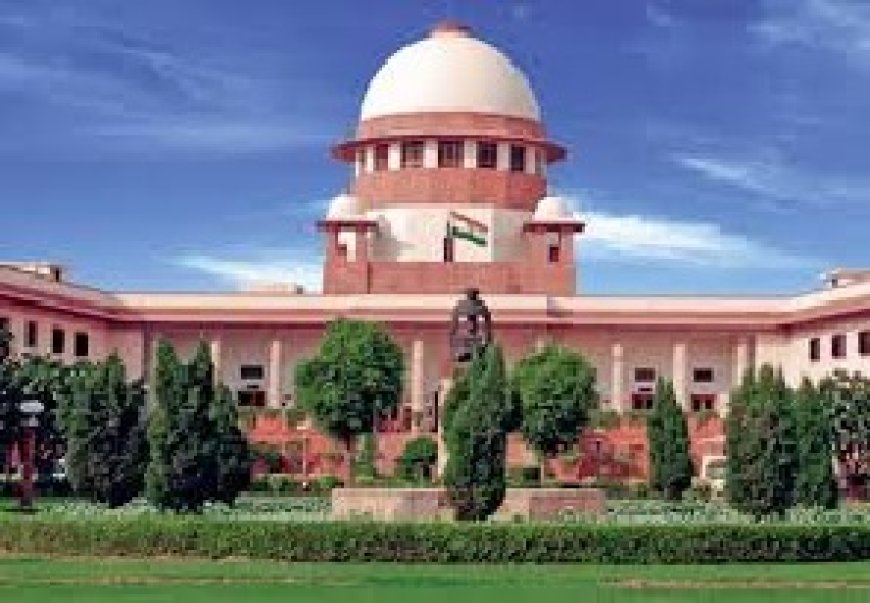 प्रदेश हाईकोर्ट केअतिक्रमित वन भूमि पर उगाए सेब के पेड़ काटने के आदेश पर सर्वोच्च न्यायालय ने लगाई रोक