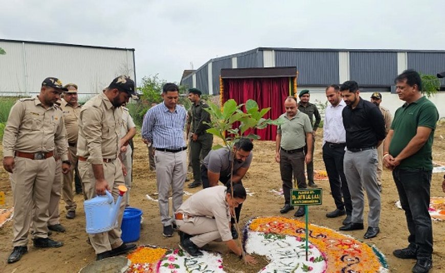 उपायुक्त ने औद्योगिक क्षेत्र पंडोगा में 600 पौधे रोपित कर पर्यावरण संरक्षण का दिया संदेश