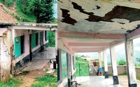 डर के साये में शिक्षा ग्रहण कर रहे दांथल स्कूल के 24 बच्चे, प्रशासन नहीं ले रहा सुध 