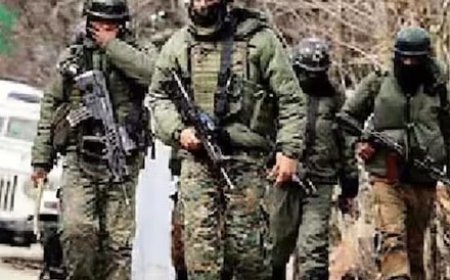 जम्मू-कश्मीर के कुलगाम जिले में सुरक्षा बलों ने रात भर चली मुठभेड़ में एक अज्ञात आतंकवादी को किया ढेर 