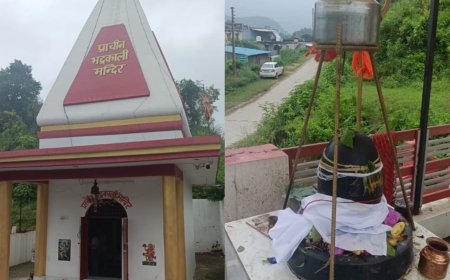 श्रद्धालुओं की मनोकामनाऐं पूरी करते हैं माता भद्रकाली मंदिर में विराजमान नर्मदेश्वर शिवलिंग