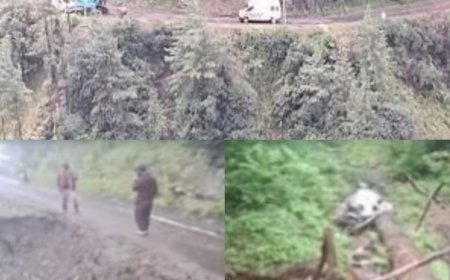 सड़क का डंगा धंसने से गहरी खाई में गिरी कार , तीन लोगों की माैत , दो घायल