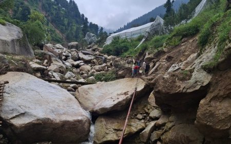 आपदा प्रभावित क्षेत्रों में विद्युत आपूर्ति बहाल करने के लिए रस्सियों से खींचकर पहुंचाए जा रहे विद्युत पोल