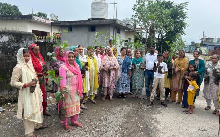 मेरा गाँव मेरा देश एक सहारा संस्था ने फतेहपुर में महिलाओं को वितरित किए फलदार पौधे