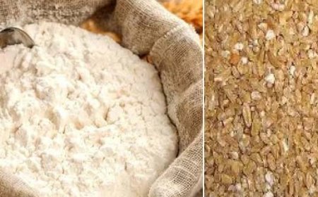 प्रदेश के तहत डिपुओं में अब प्राकृतिक खेती से तैयार गेहूं का आटा और दलिया भी विक्रय के लिए होगा उपलब्ध  