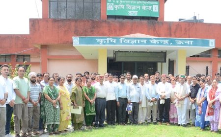 रामपुर में डीएईएसआई प्रोग्राम के छठे बैच के इनपुट डीलर्स को वितरित किए प्रमाण पत्र