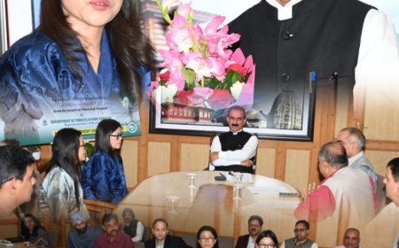 भूटान की धरती पर लहलायेंगे हिमाचली फल , मुख्यमंत्री ने भूटान सरकार को भेंट किए 5000 से अधिक चिलगोजा के पौधे