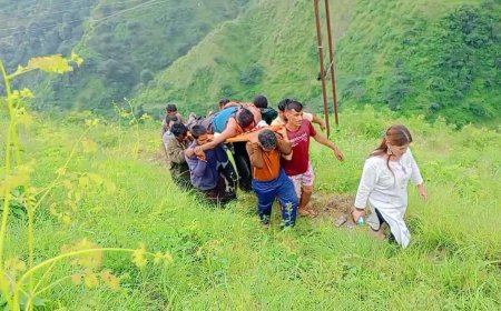 गाड़ी को साइड देते समय अनियंत्रित होकर 600 मीटर गहरी खाई में गिरी पिकअप , ड्राइवर की हालत नाजुक