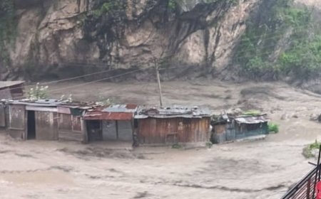 राजधानी शिमला में भारी बारिश से जगह-जगह भूस्खलन व पेड़ गिरने की घटनाएं घटित होने से व्यापक नुकसान 