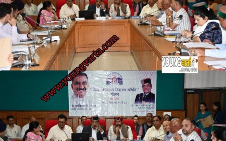 शिकायतों का समयबद्ध समाधान सुनिश्चित बनाएं अधिकारी : डॉ. धनी शांडिल